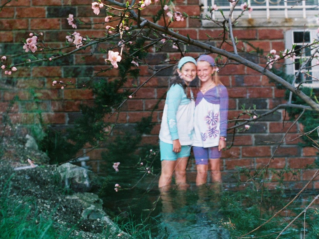 Munich girls and river - New York wall and flowers Munich girls and river - New York wall and flowers